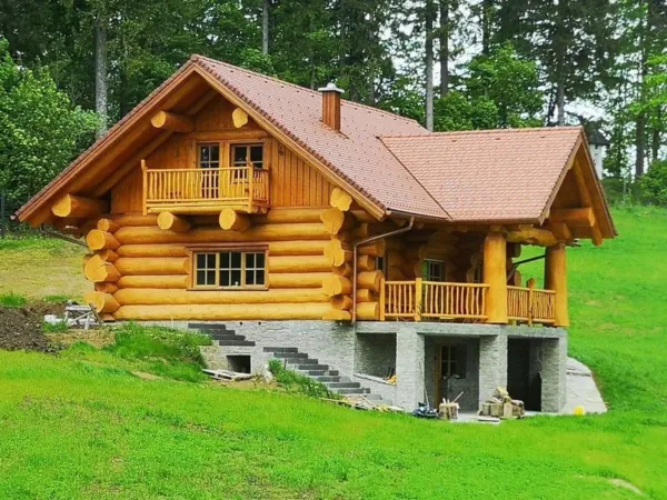 Зруб дикий